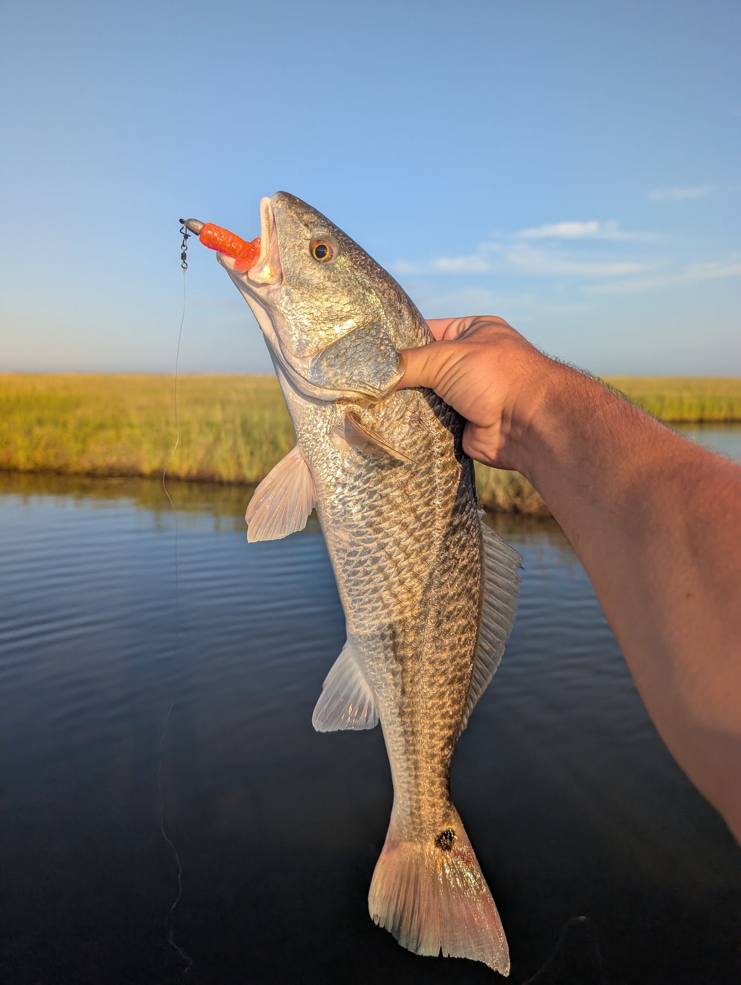 3.5" Mighty Mullet paddle tail 6-pack "Pink Lady"