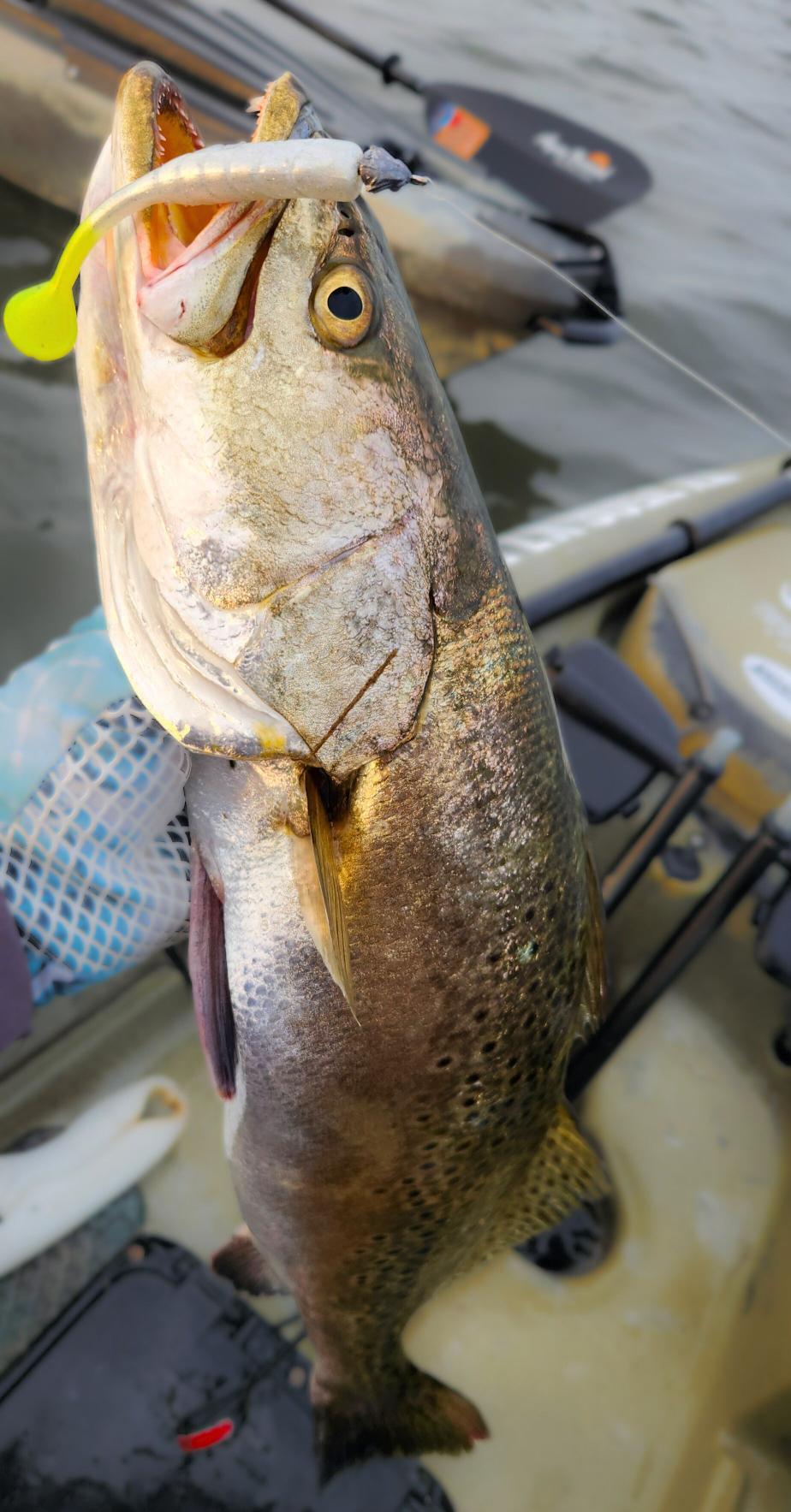 3.5" Mighty Mullet paddle tail 7-pack "SPECKTACULAR w/ Chartreuse tail"