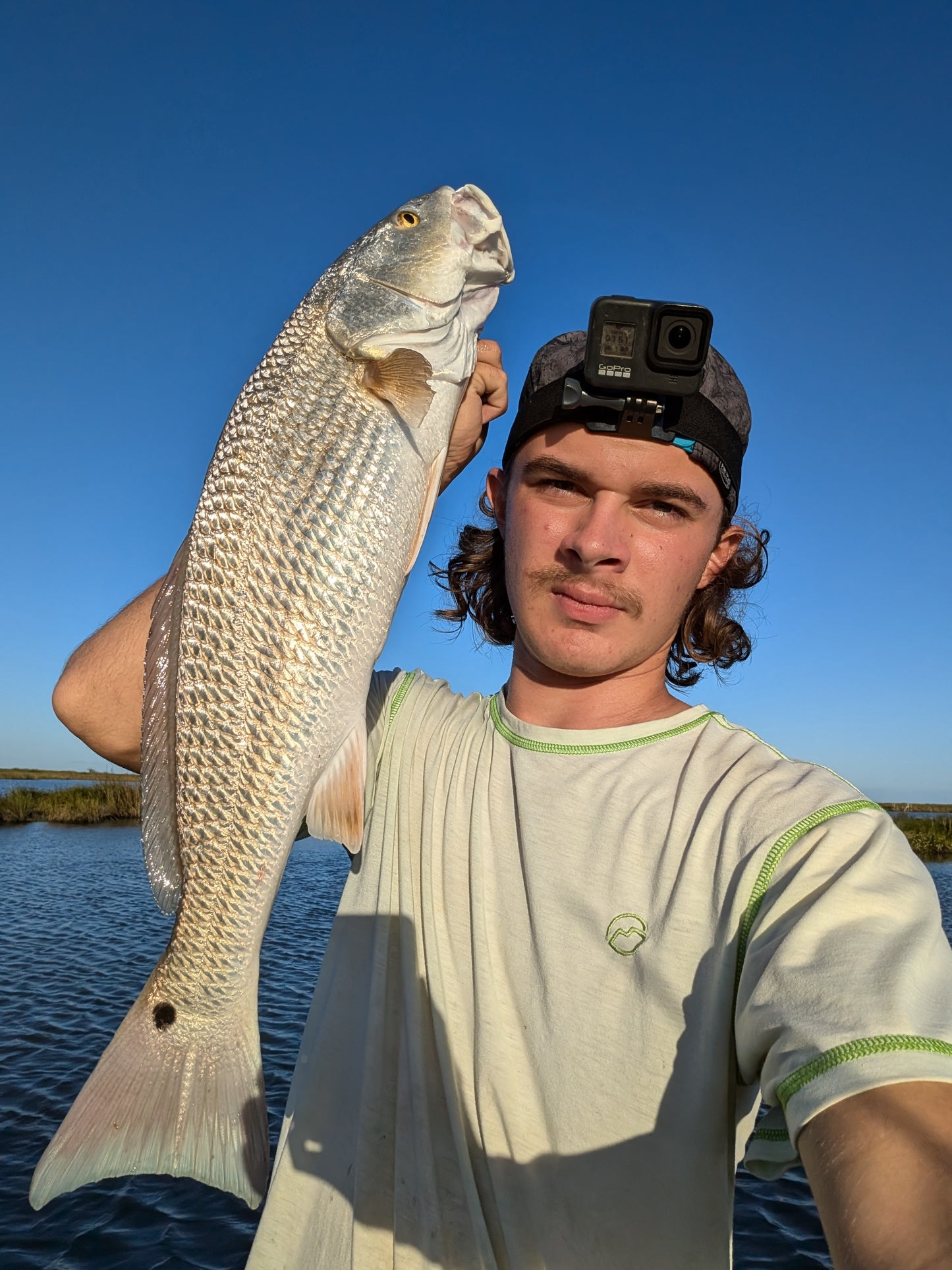 3.5" Mighty Mullet paddle tail 7-pack "SPECKTACULAR"