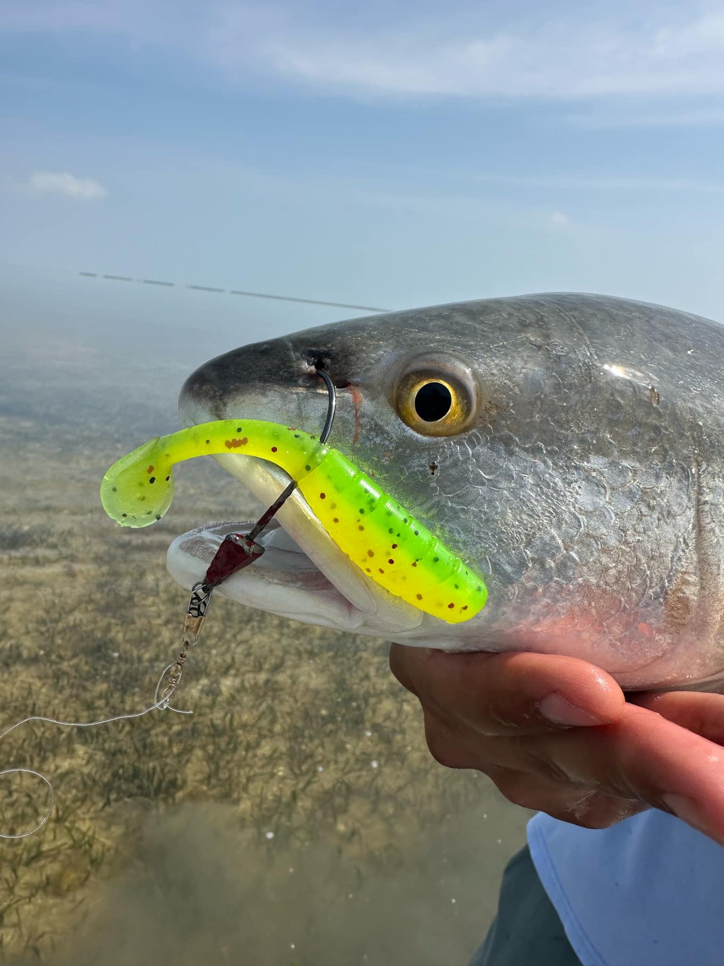 3.5" Mighty Mullet paddle tail 7-pack "Brussels Trout"