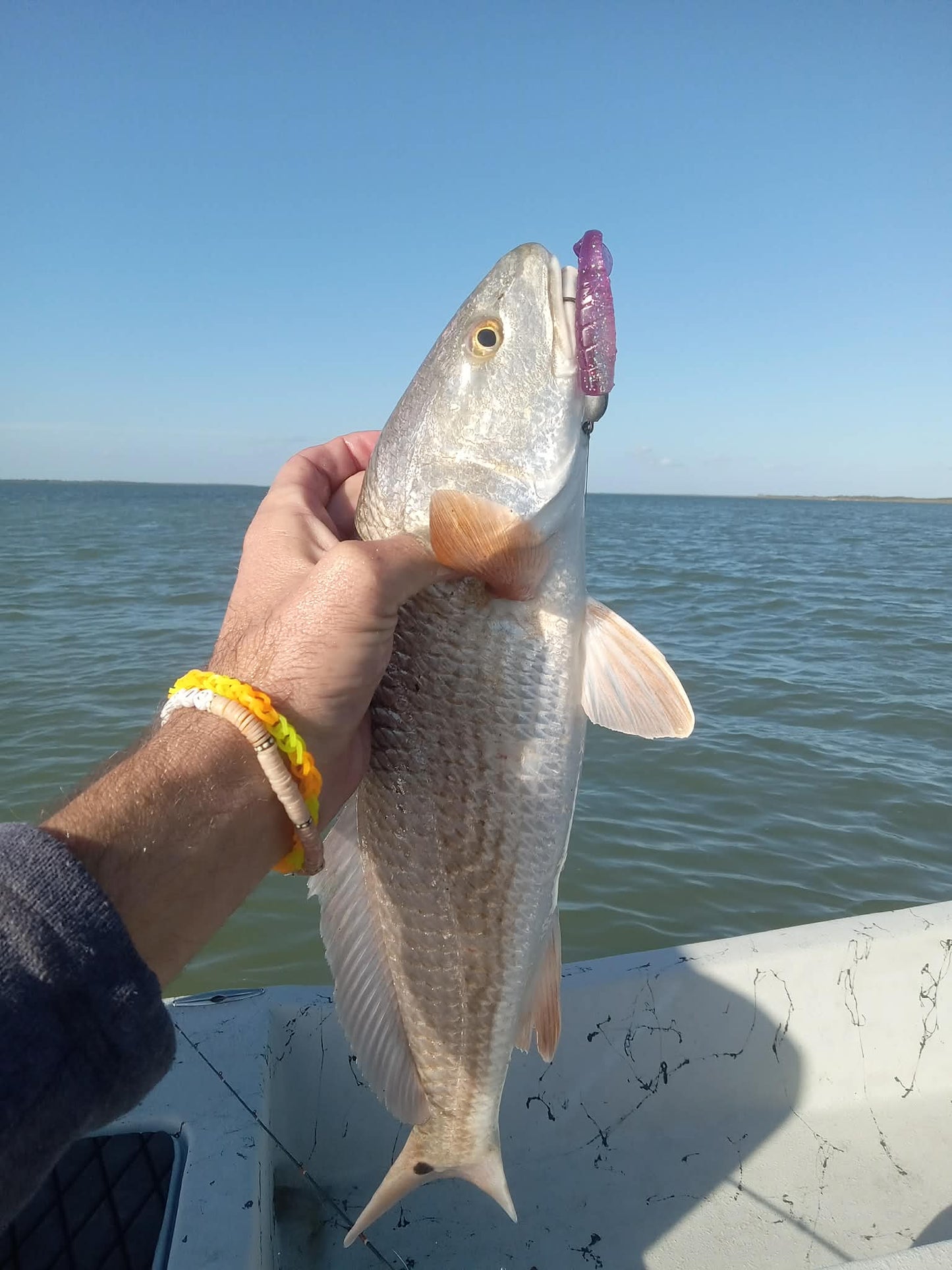 3.5" Mighty Mullet paddle tail 7-pack "Split Personality"