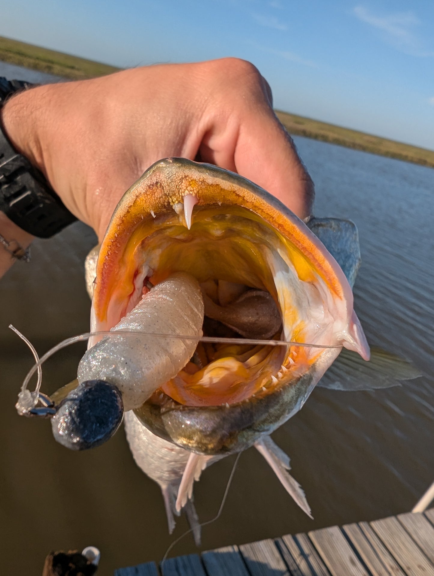 3.5" Mighty Mullet paddle tail 7-pack "SPECKTACULAR"