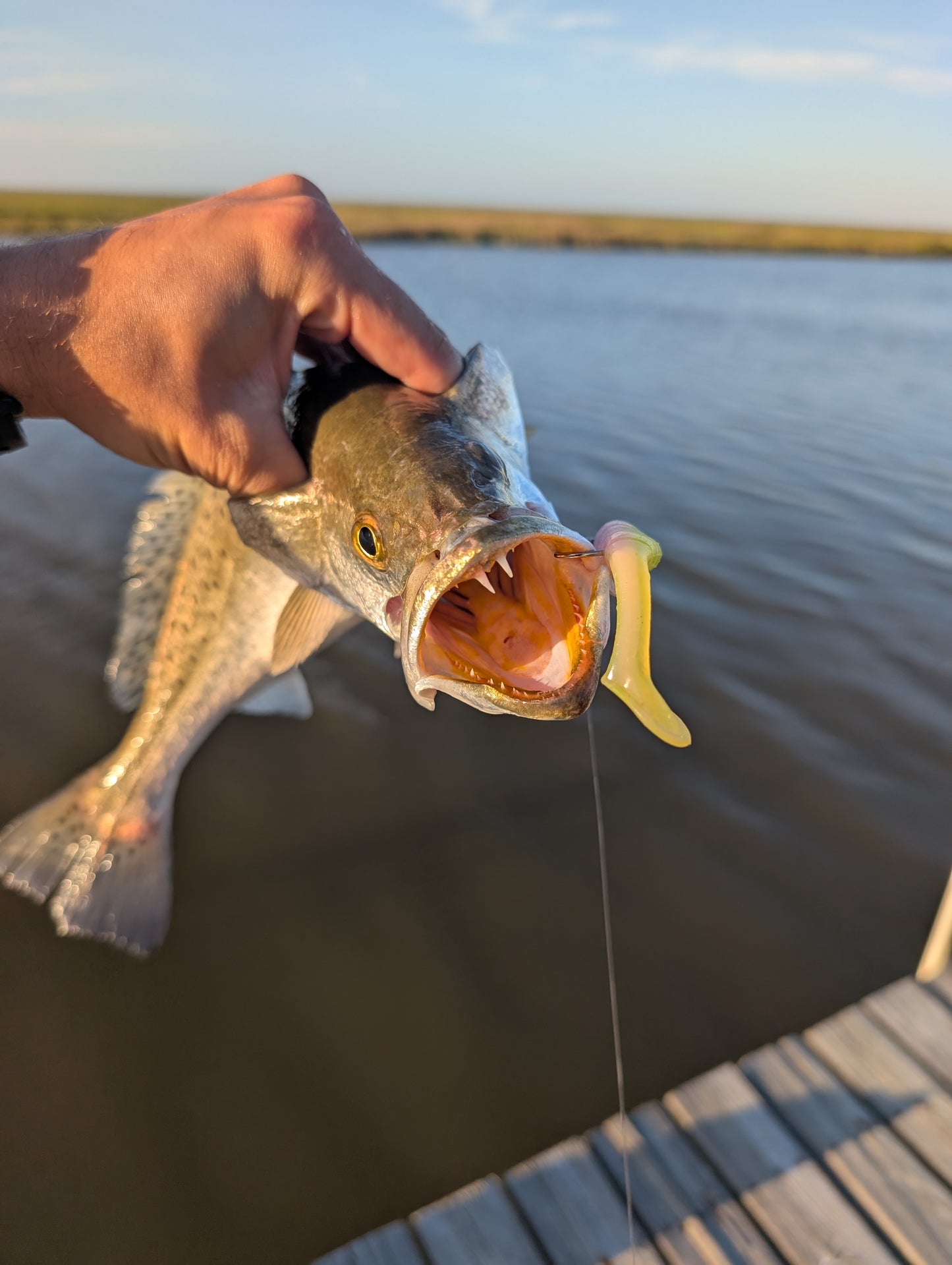 3.5" Mighty Mullet paddle tail 7-pack "Redfish Rampage"