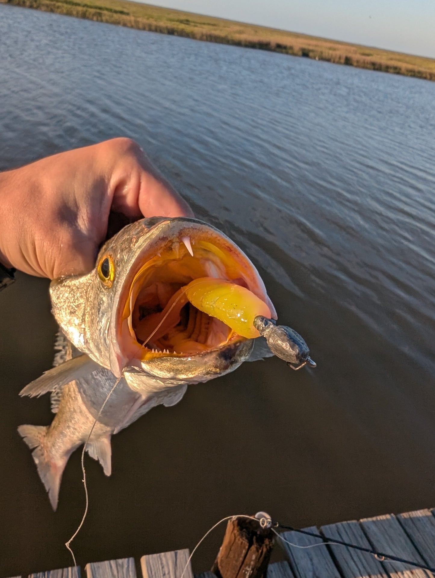 3.5" Mighty Mullet paddle tail 7-pack "Redfish Rampage"