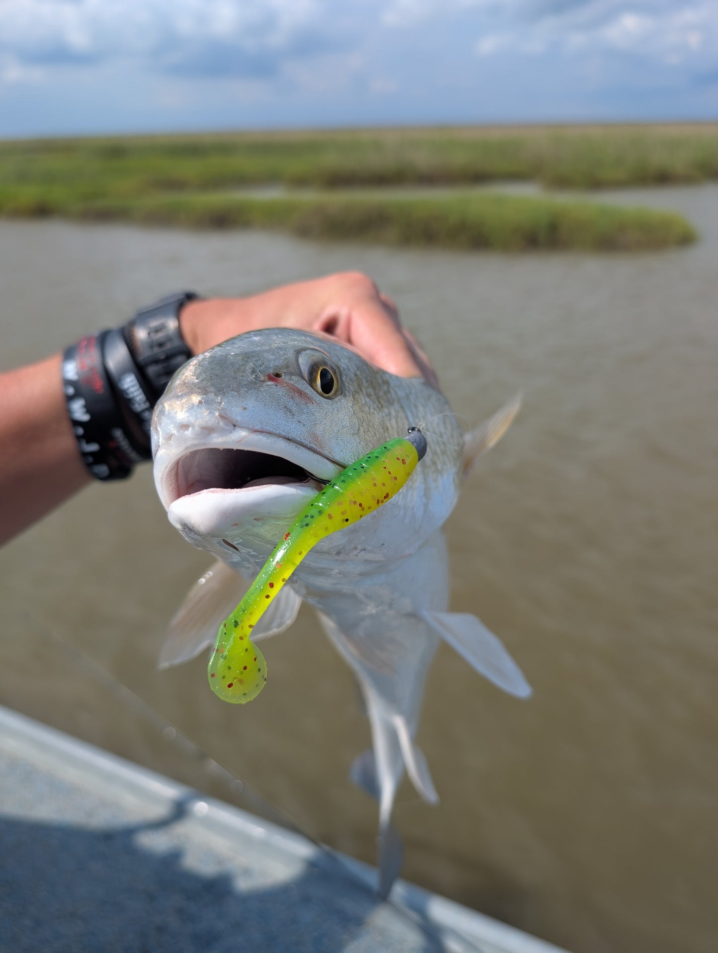 3.5" Mighty Mullet paddle tail 7-pack "Brussels Trout"
