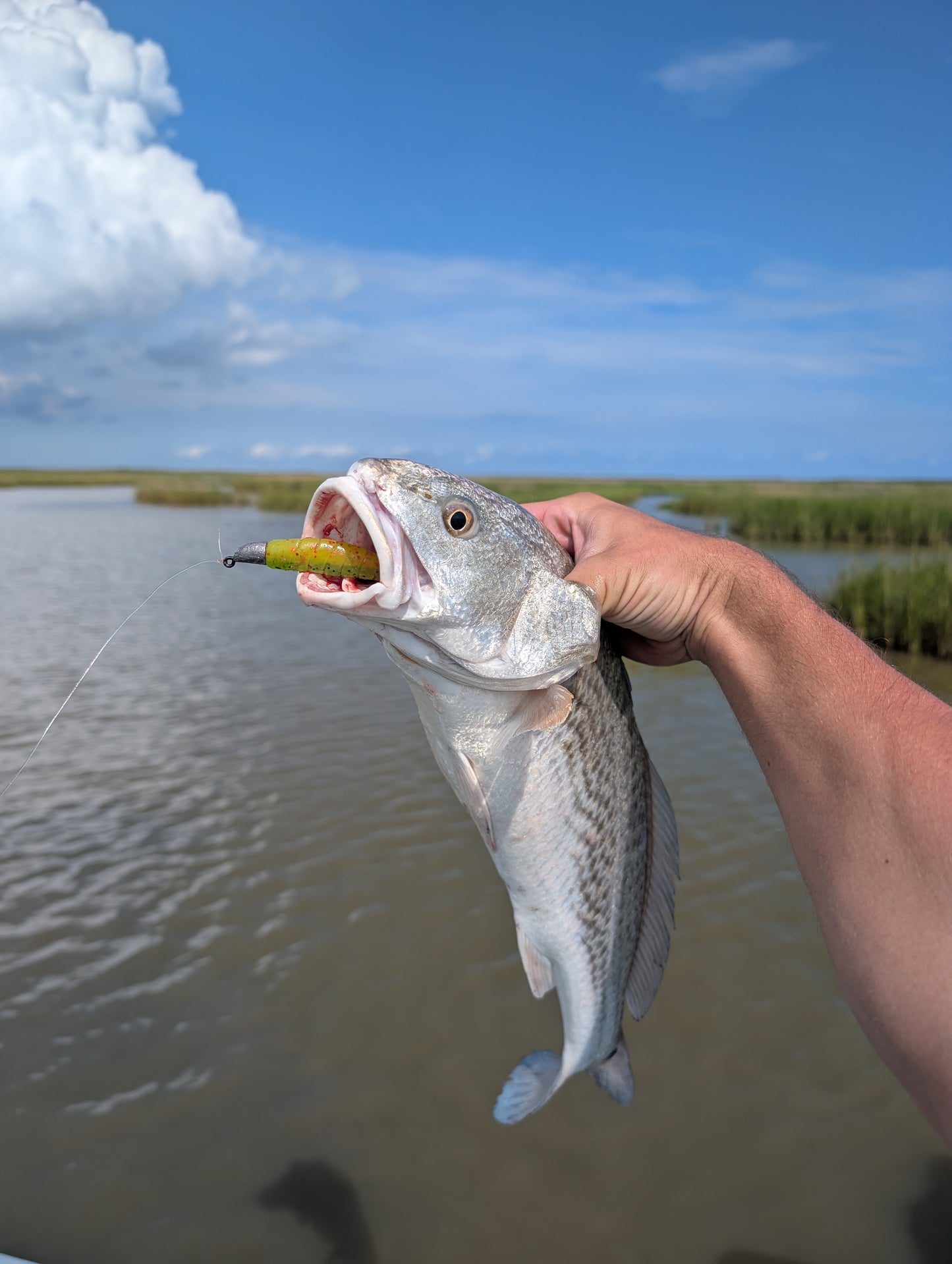 3.5" Mighty Mullet paddle tail 7-pack "Brussels Trout"