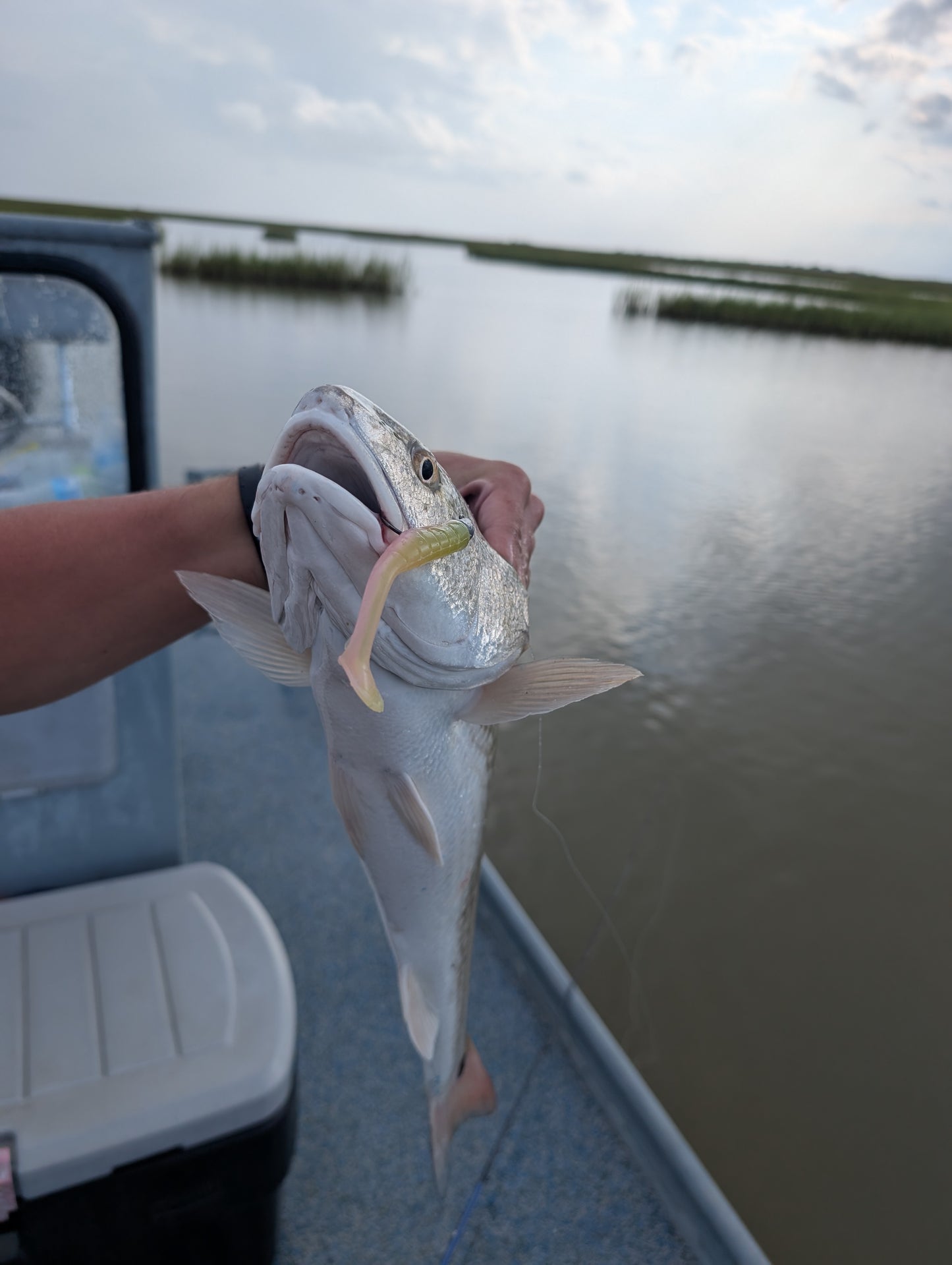 3.5" Mighty Mullet paddle tail 7-pack "Redfish Rampage"