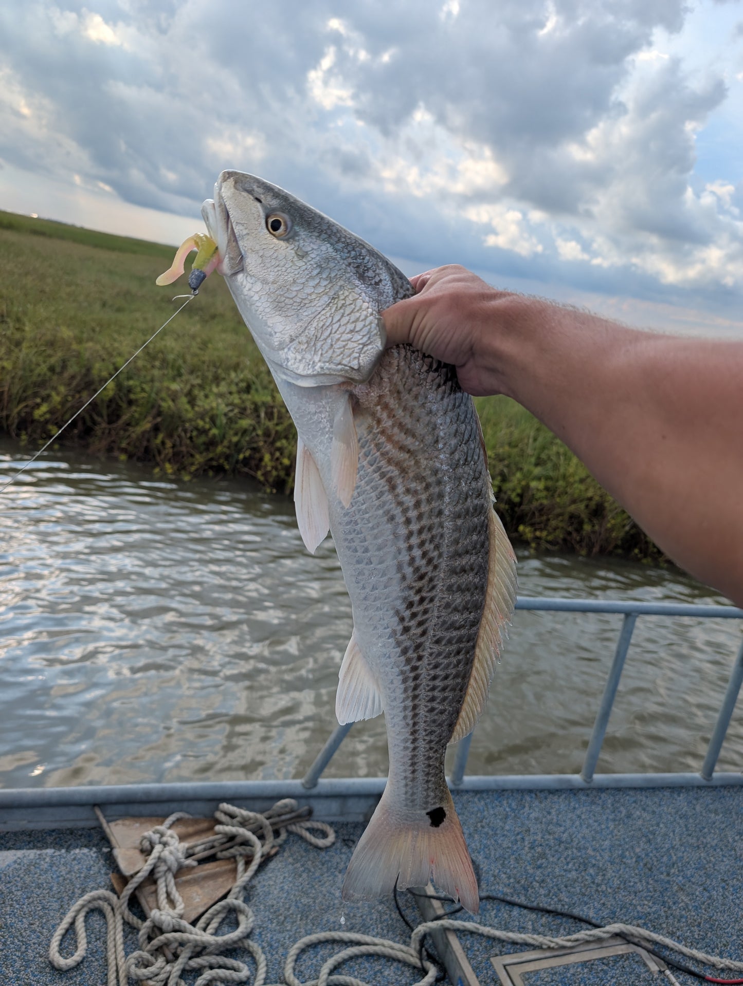 3.5" Mighty Mullet paddle tail 7-pack "Redfish Rampage"