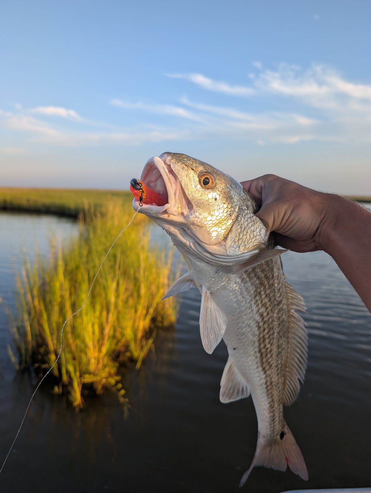 3.5" Mighty Mullet paddle tail 6-pack "Pink Lady"