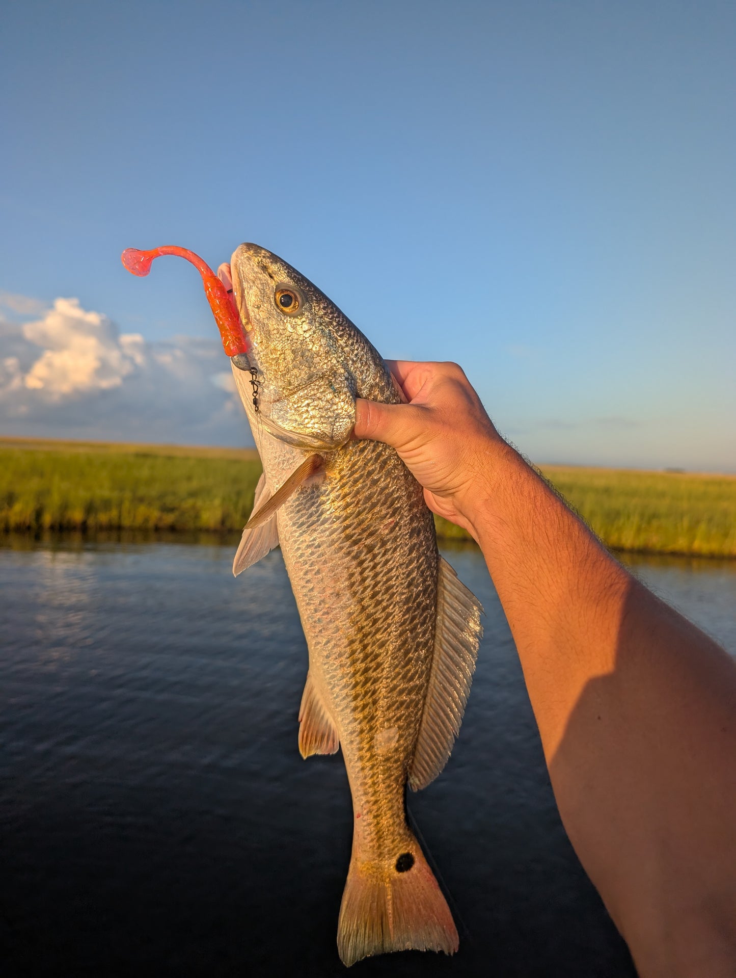 3.5" Mighty Mullet paddle tail 6-pack "Pink Lady"